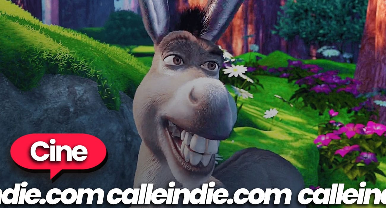 Burro