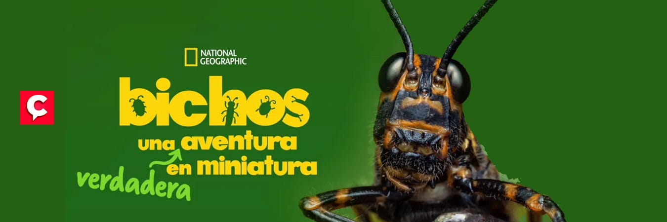 Bichos: Una verdadera Aventura en miniatura
