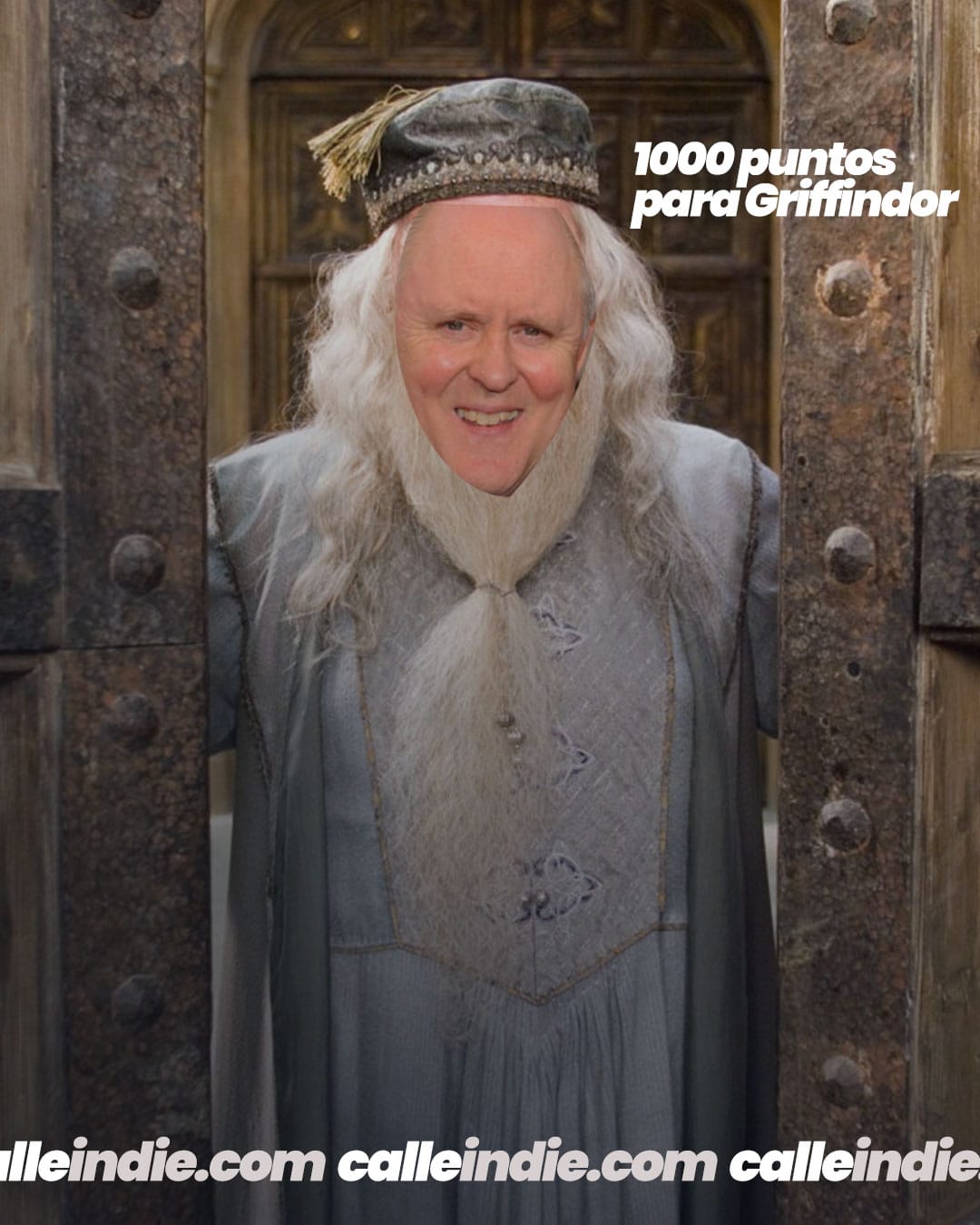 John Lithgow Albus Dumbledore - Calle Indie