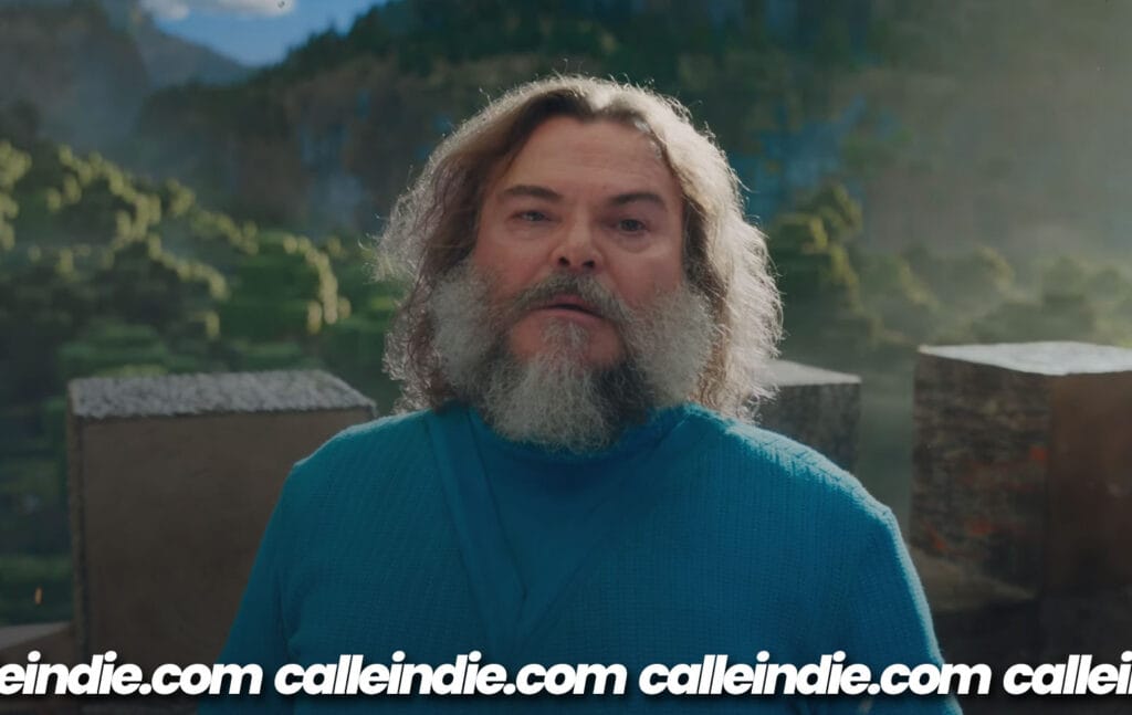 Jack Black - Minecraft - Calle Indie